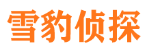 渭南市私家侦探